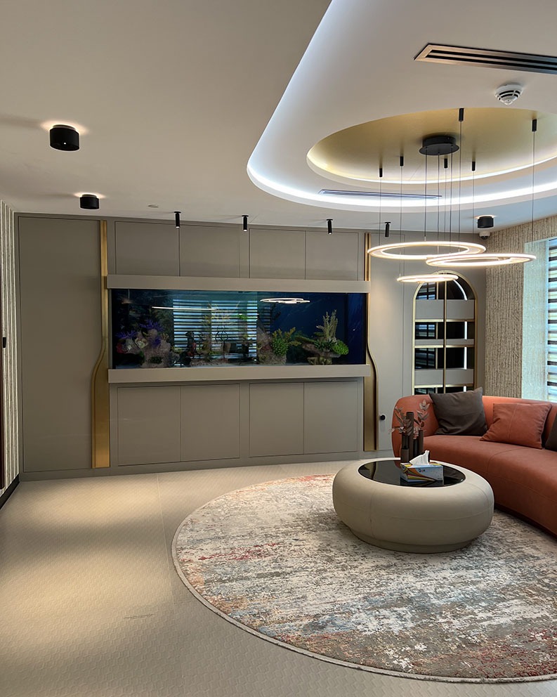 Wareen International LTD